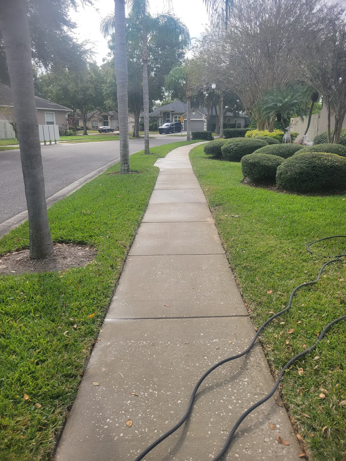 After: Neighborhood sidewalk cleaned with a surface cleaner for an even finish.
