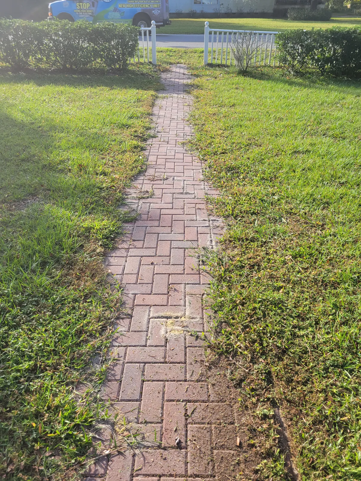 Before: Brick paver walkway covered in moss and algae. Original color fully restored.